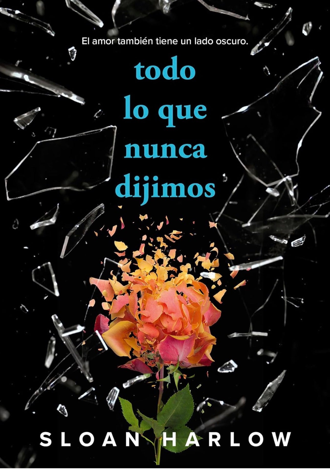 Todo lo que nunca dijimos- Sloan Harlow
