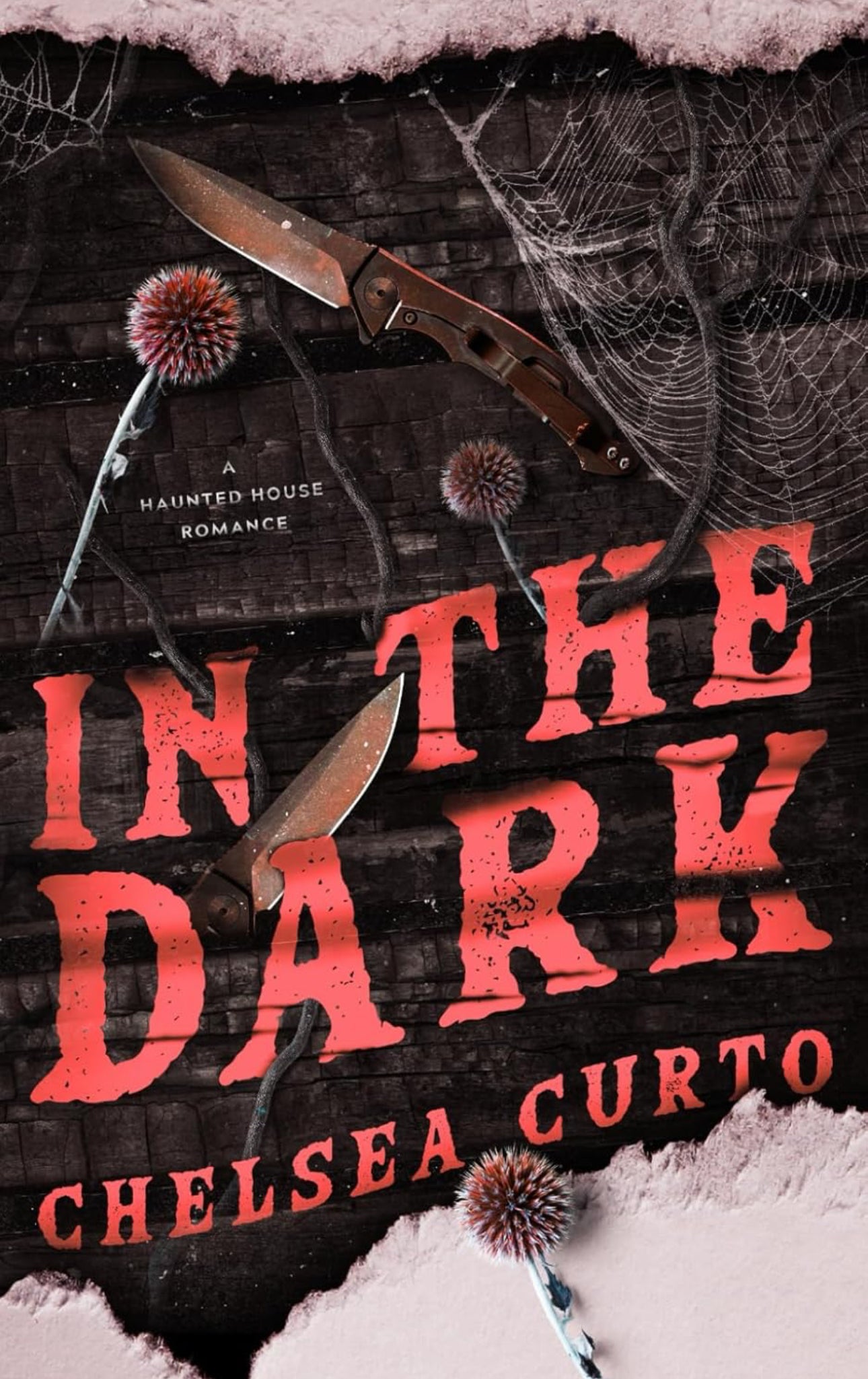 In The Dark(Edición firmada, portada normal)- Chelsea Curto