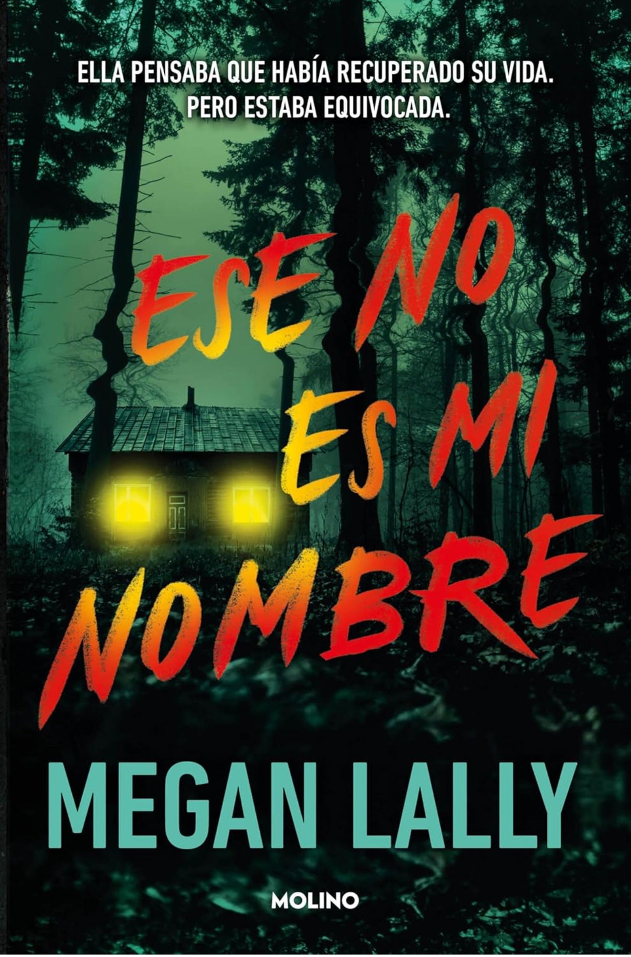 Ese no es mi nombre- Megan Lally