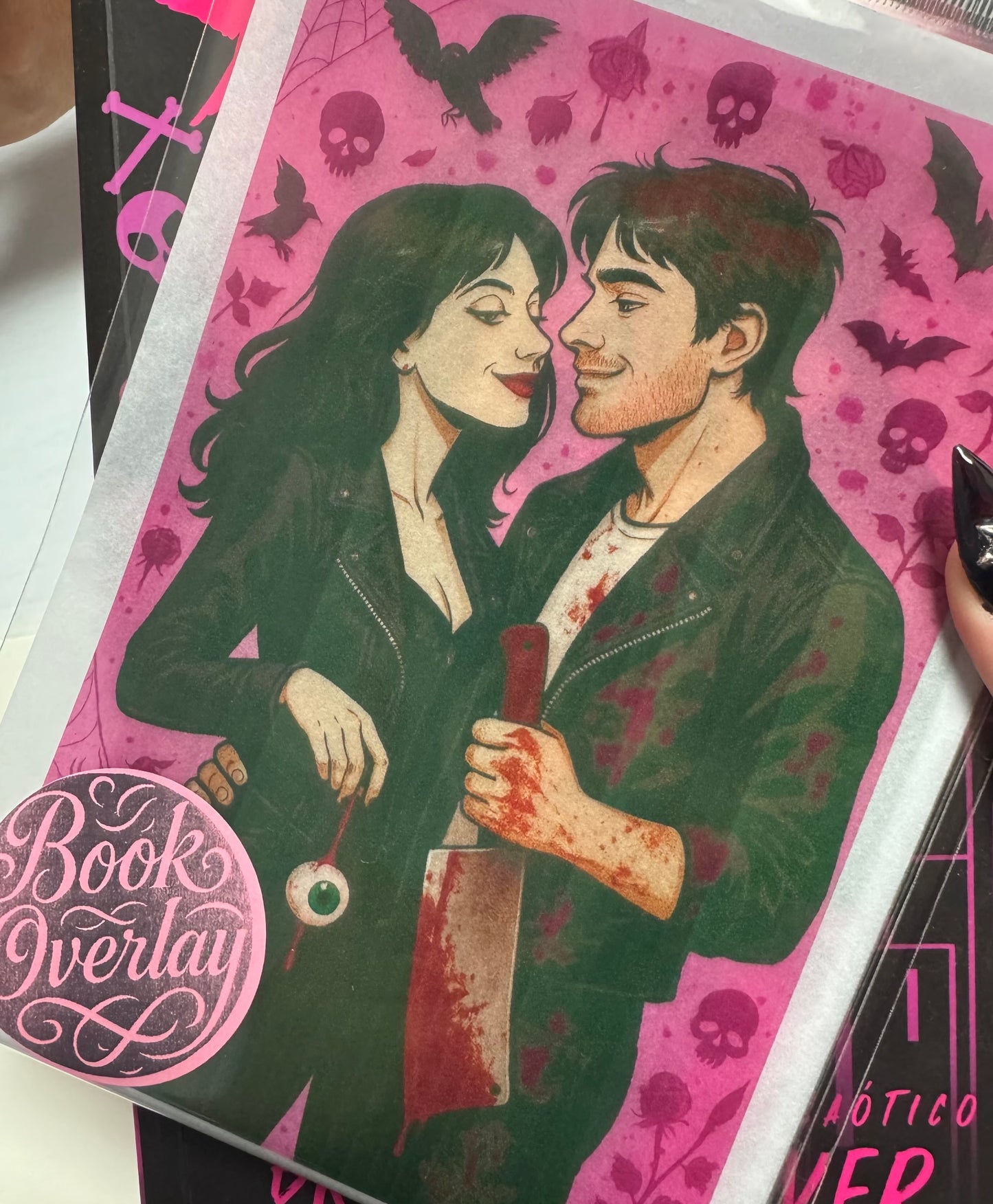 Butcher and Blackbird inspo- Book Overlay