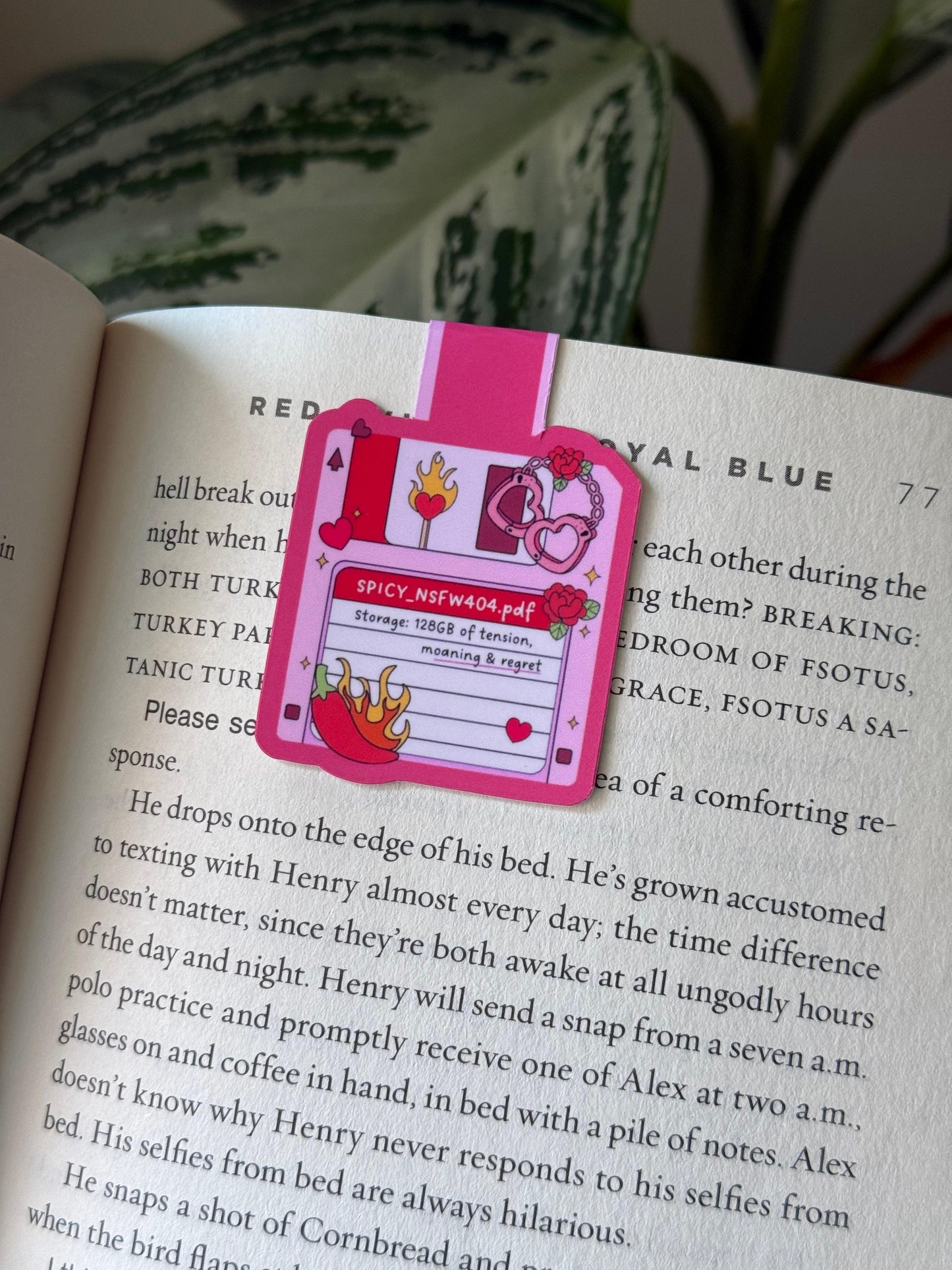 Spicy Storage- Bookmark magnético