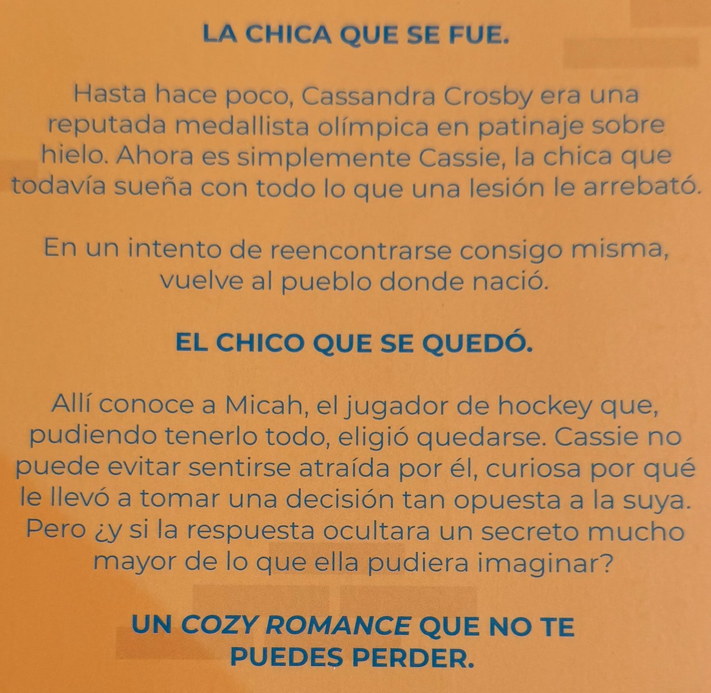 Besos con sabor a canela- (libro usado o donado)