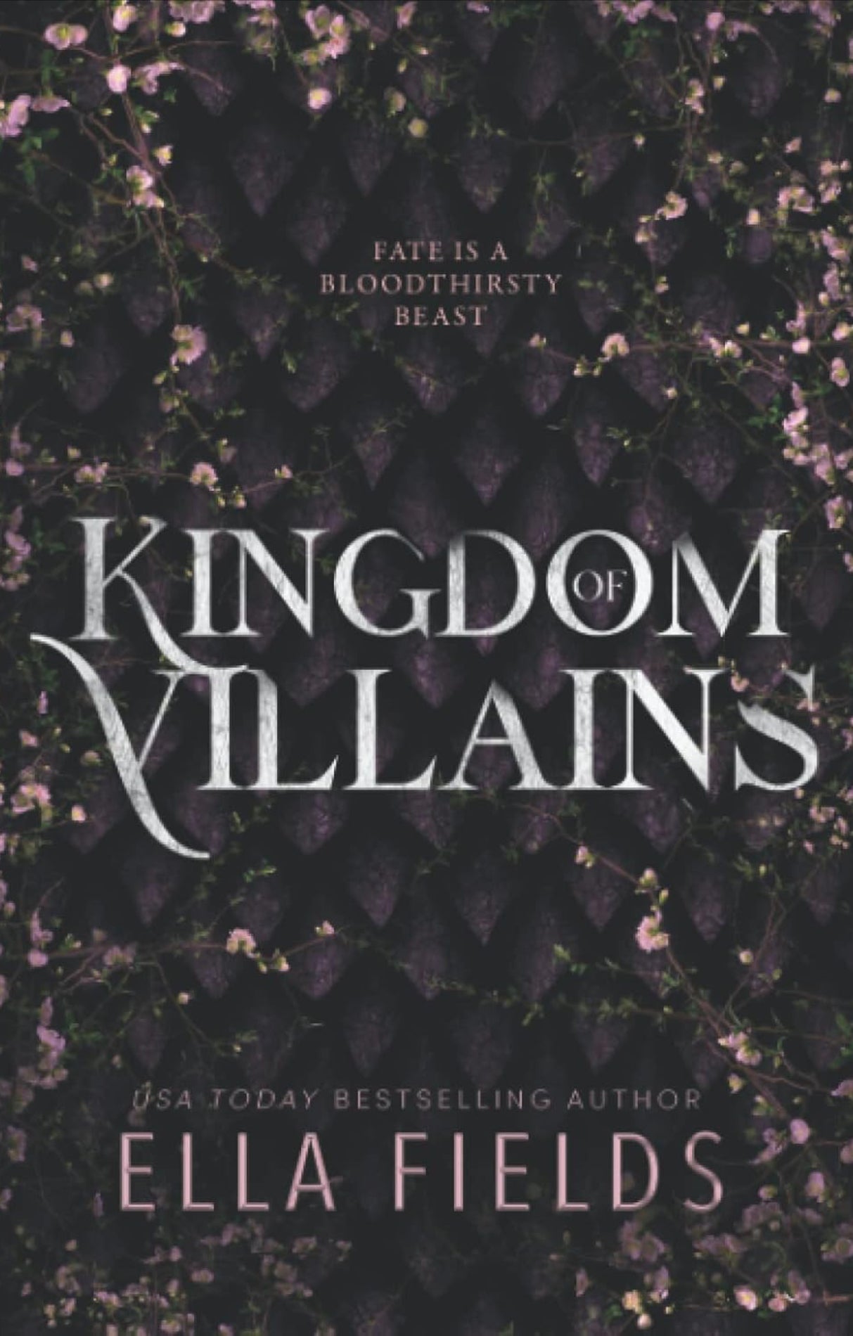 Kingdom of Villains - Ella Fields
