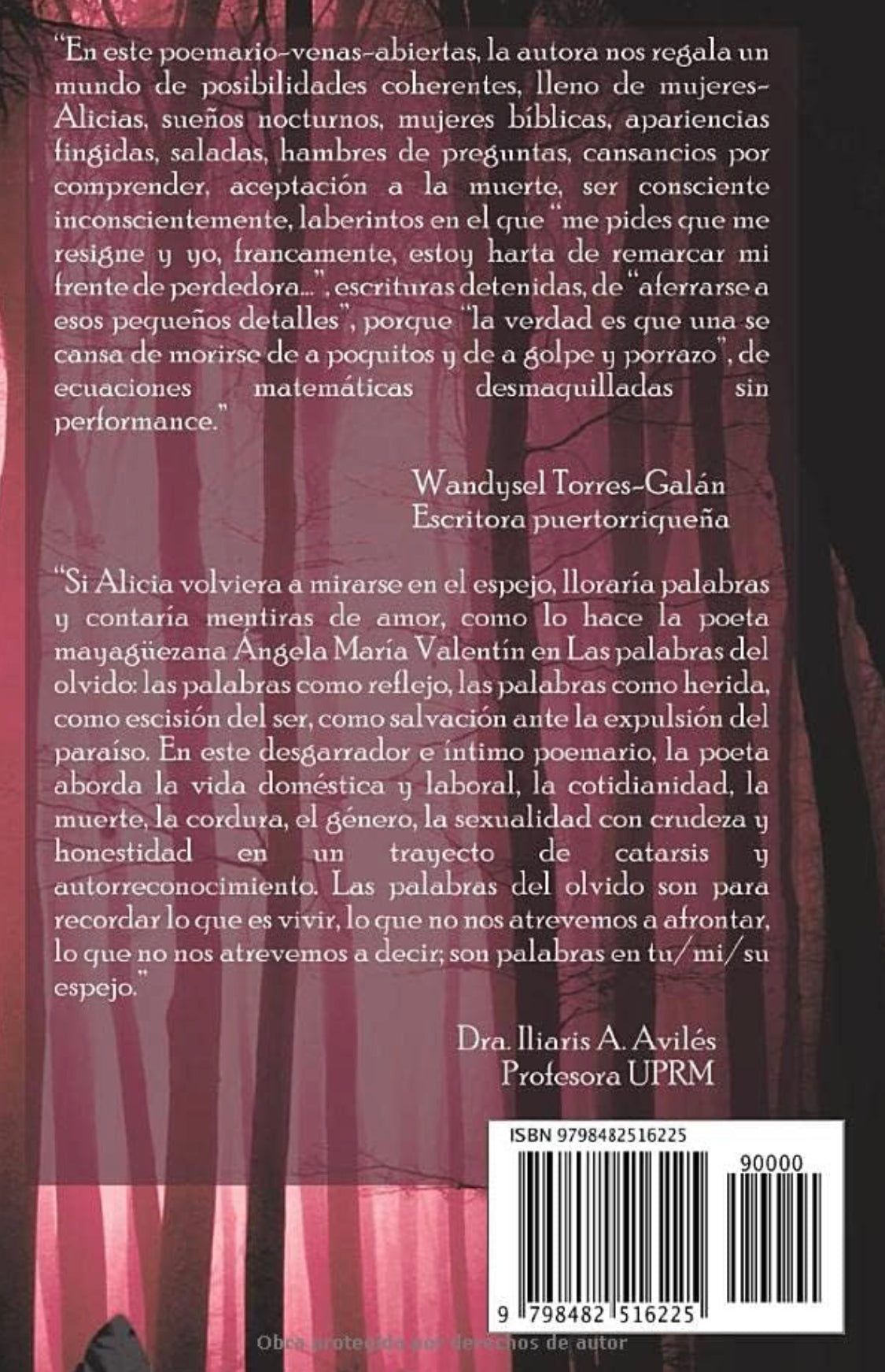 Las palabras del olvido-Ángela María Valentín