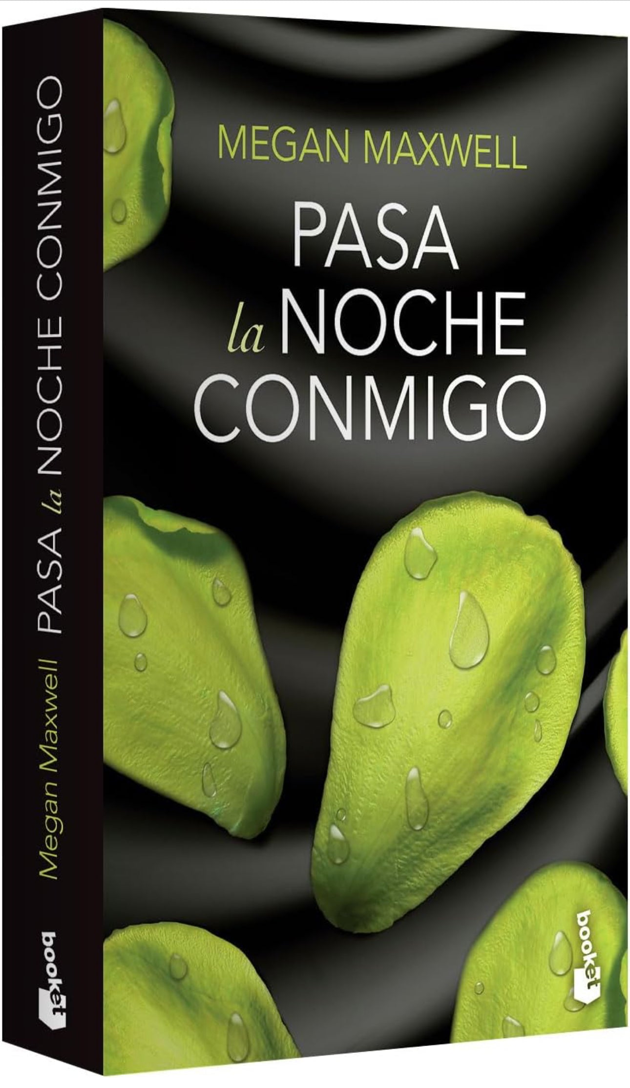 Pasa la noche conmigo- Megan Maxwell