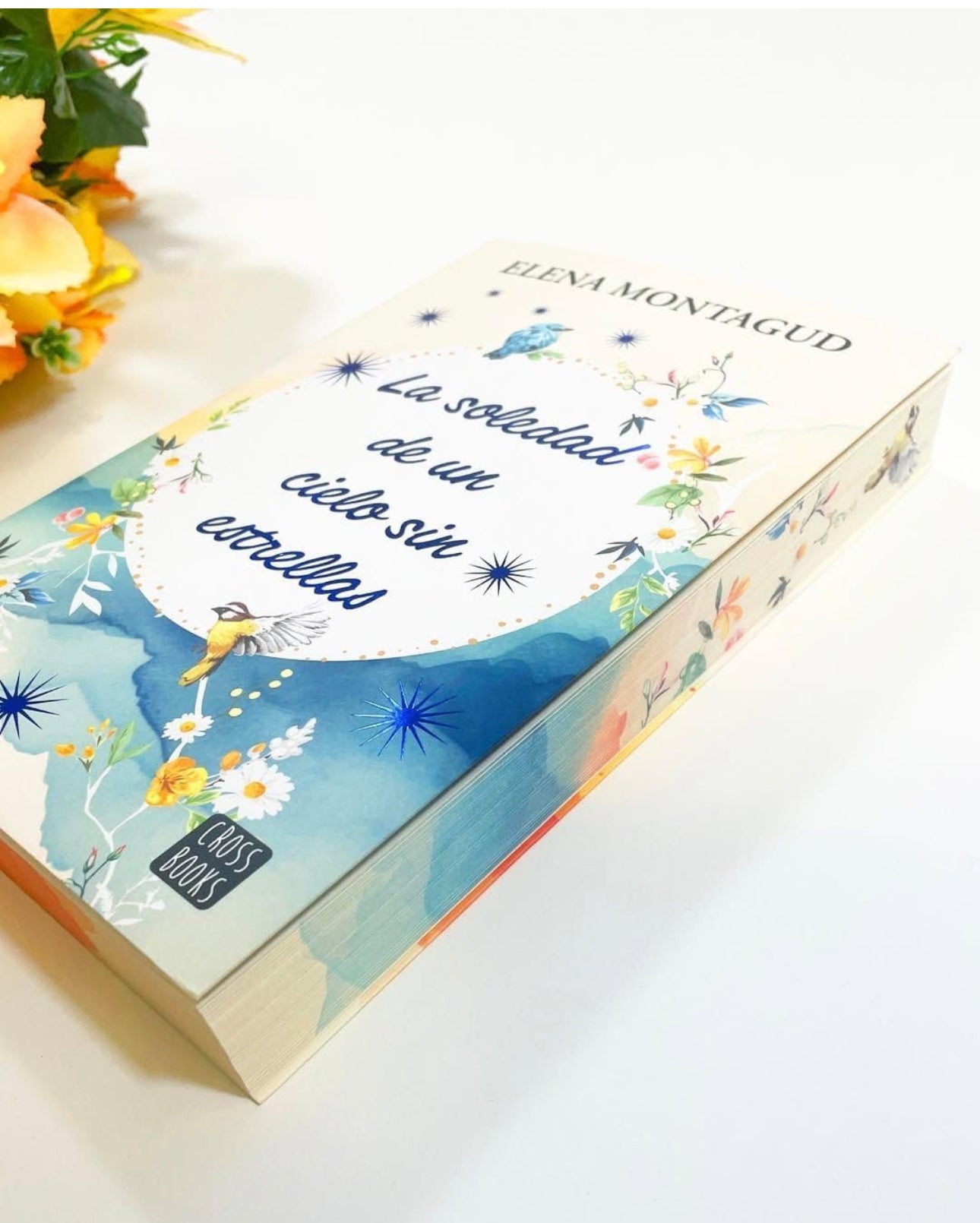La soledad de un cielo sin estrellas- Elena Montagud