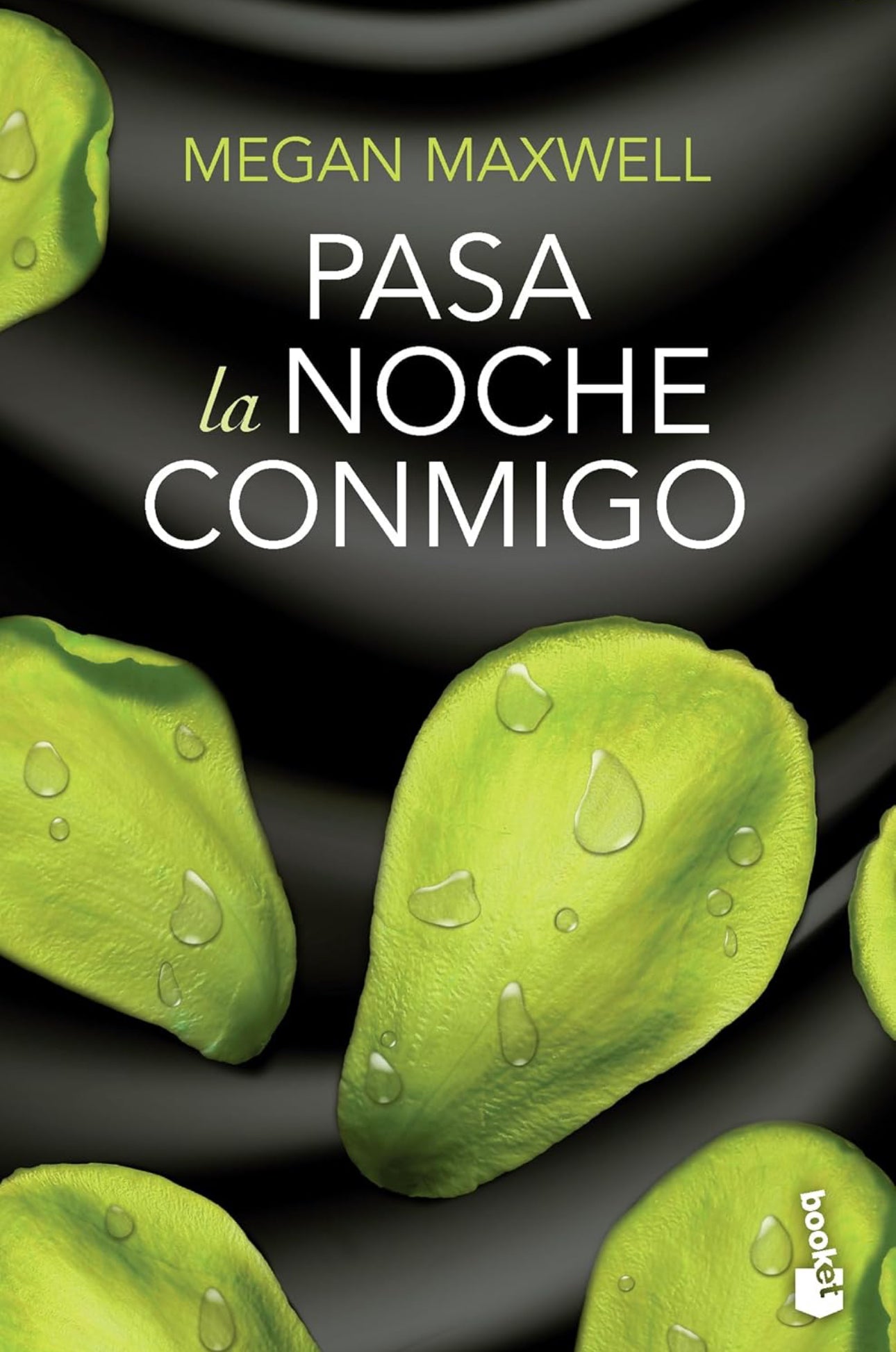 Pasa la noche conmigo- Megan Maxwell