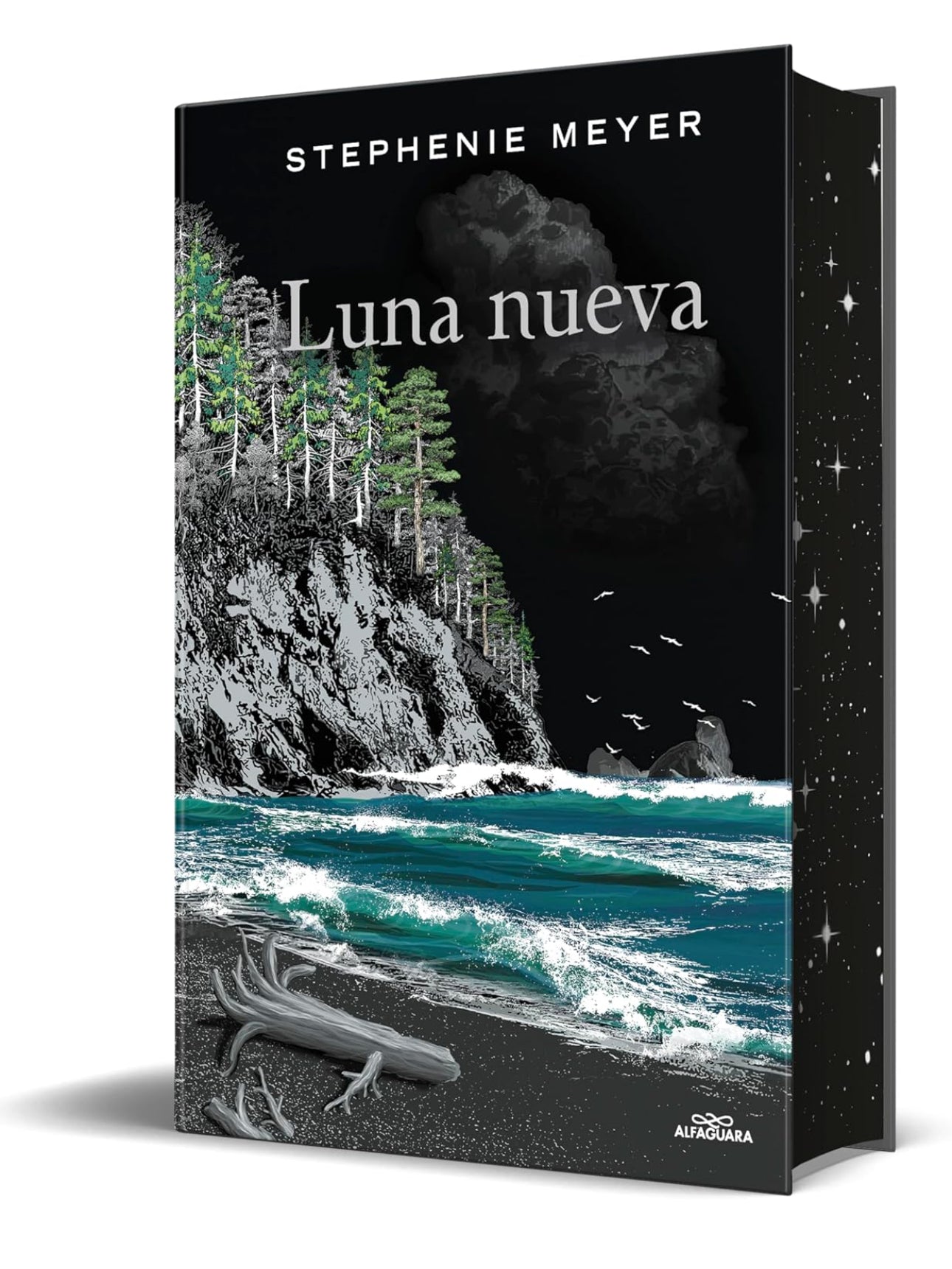 Estuche saga crepúsculo, 20 aniversario - Stephenie Meyer