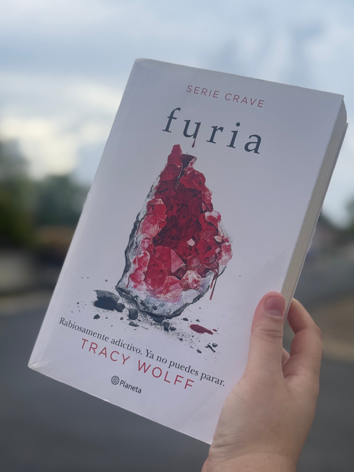 Furia- (libro usado o donado)