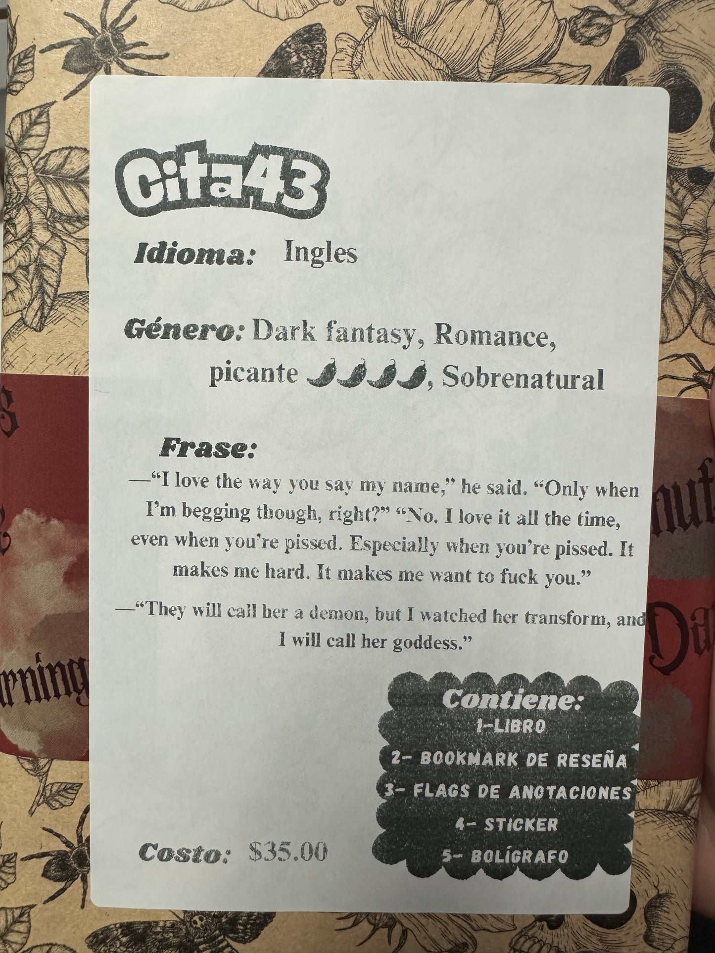 Citas a ciegas literarias