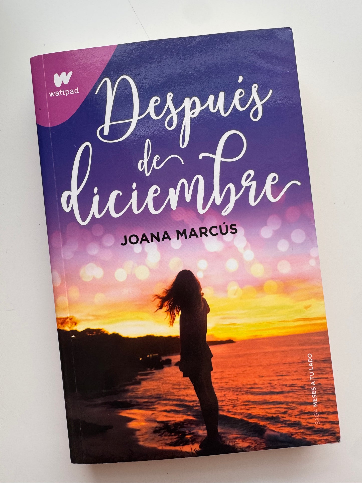 Después de diciembre(meses a tu lado #2) - (libro usado o donado)