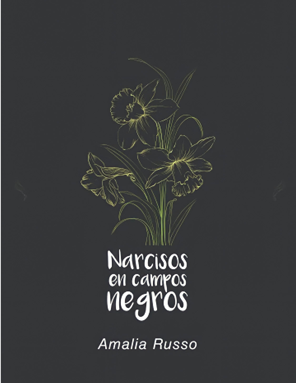 Narcisos en campos negros- Amalia Rivera